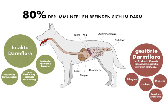 Ausleitung