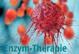 Enzymtherapietext