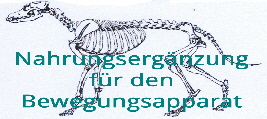 Nahrungsergnzung Knochen